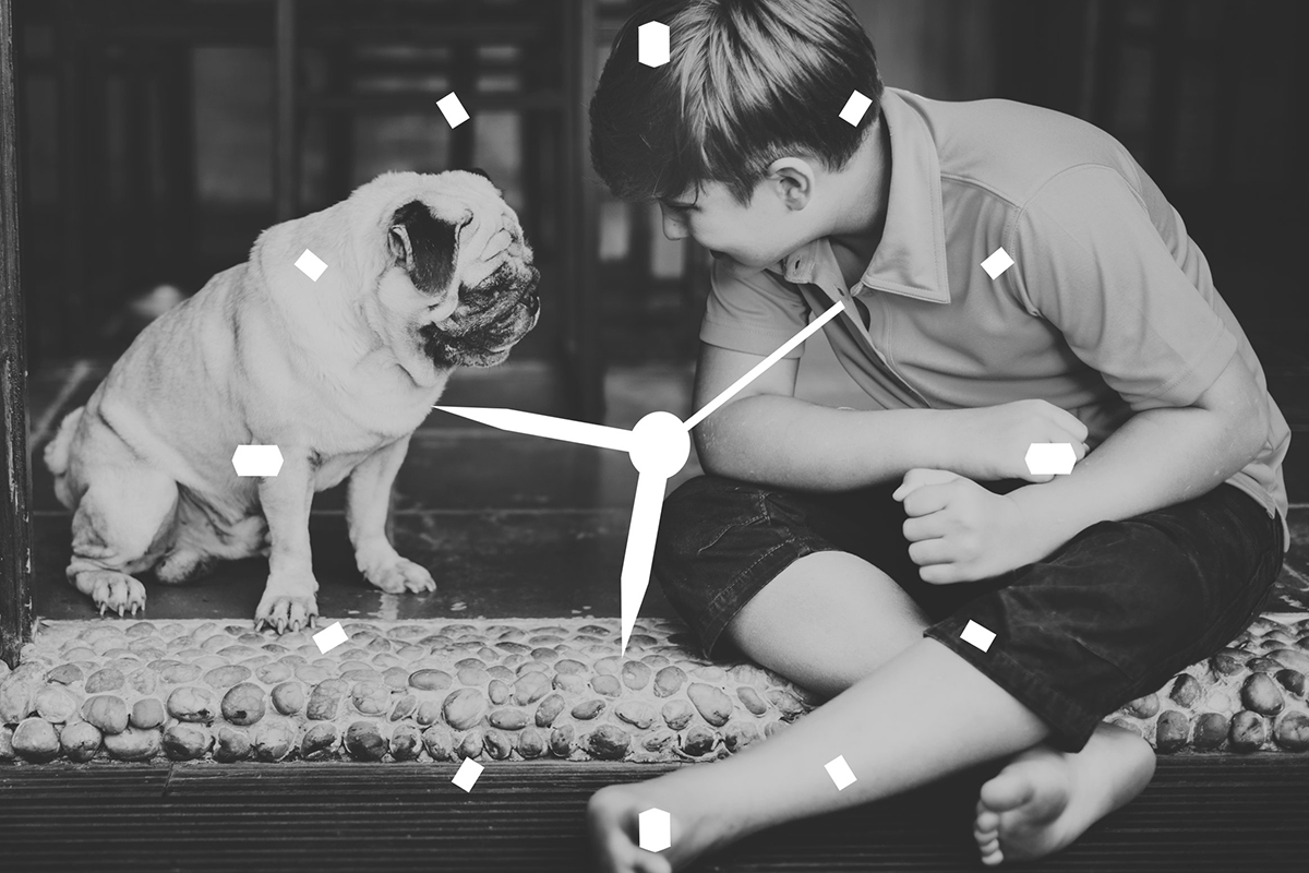 Photo en noir et blanc. Un chien de race Carlin avec un petit garçons ils sont assis et se regarde. Il y a une horloge qui symbolise l'espérance de vie du chien